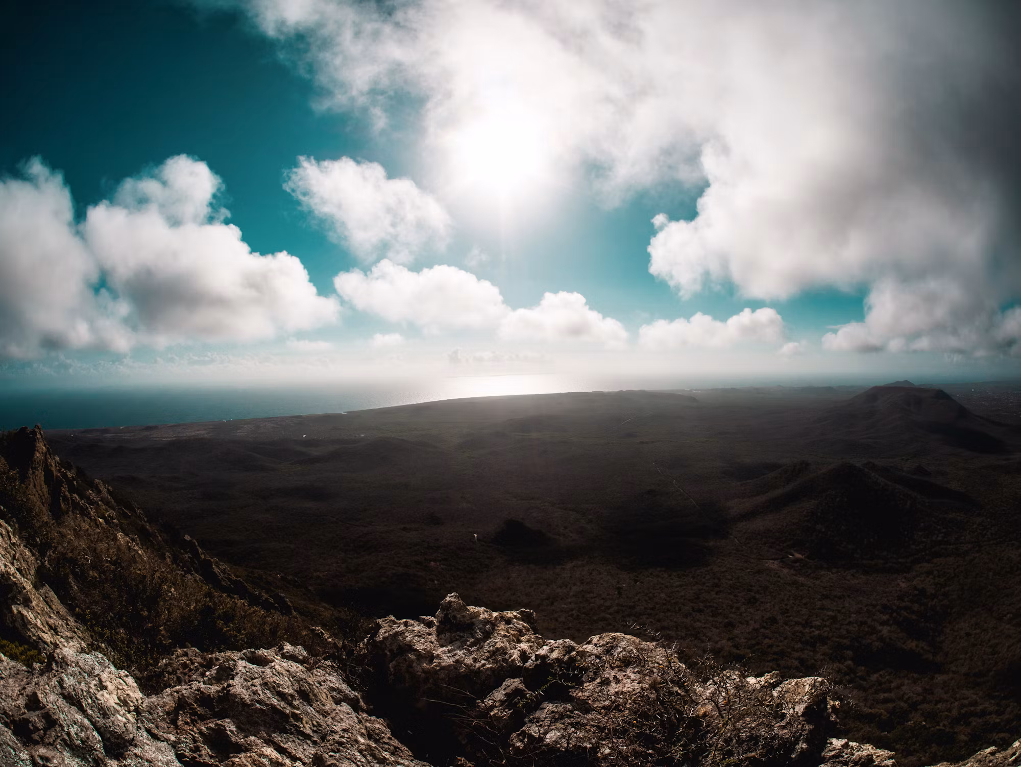 Exploring the World of Trail Running: A Guide to Getting Started